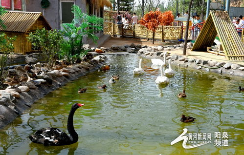 助力冬奧丨華北奕豐生態(tài)園戲雪樂園即將開園，生態(tài)旅游與冰雪運動完美融合