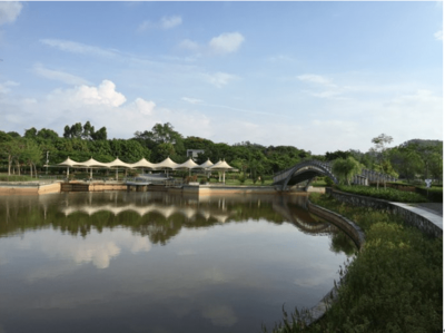 東進下的坪山，你還認識嗎？探秘生態園新篇