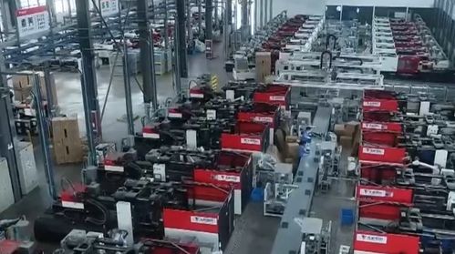 中國(guó)科學(xué)院發(fā)布多個(gè)生物多樣性成果 我國(guó)基本摸清主要生物類群和植被類型