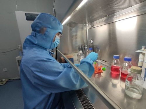 別人 放假 我上崗 細胞 管家 是我的工作,那就得干好它