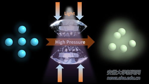 我校化學(xué)材料研究領(lǐng)域再添新成果 生物基材料實(shí)現(xiàn)規(guī)?；N售