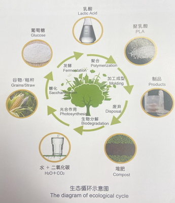 冬奧會(huì)餐盤(pán) 酸奶“親戚”引領(lǐng)生物基材料新風(fēng)尚